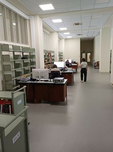 image10.jpeg