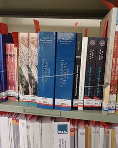 image8.jpeg