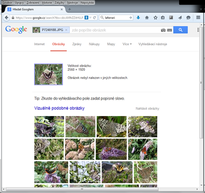 Obrazek 4 - Google-obrazek-mimo-web.png Obrazek 4 - Google-obrazek-mimo-web.png